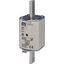 NH1/WT-1 gF 200A/500V G thumbnail 2