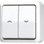 2-gang blind switch/push-button 10 AX 609VAWW thumbnail 1