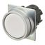 Pushbutton A22NZ Ã˜22, bezel brushed metal, FLAT, MOMENTARY, CAP COLOR A2270076C thumbnail 1