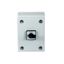 P1-25/SE1 On-Off switch, P1, 25 A, 3 pole, surface mounting, with black thumb grip and front plate, in steel enclosure thumbnail 2