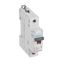 MCB - DX³ 6000 - 10 kA - 1P - 230/400 V~ - 0.5 A - D curve thumbnail 2