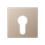 Cover plate f. key switch A525PLCH thumbnail 1