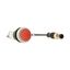 C22-D-R-K01-P1 Pushbutton, Flat, momentary, 1 NC, Cable (black) with M12A plug, 4 pole, 0.2 m, red, Blank, Bezel: titanium thumbnail 11