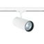 WHITE COB 30W CW TRACK SPOT 230V thumbnail 3