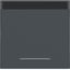 Rocker single, text field, clear lens, A.x/C.x, anthracite thumbnail 1