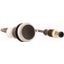 C22-D-S-K01-P5 Pushbutton, Flat, momentary, 1 NC, Cable (black) with M12A plug, 4 pole, 1 m, black, Blank, Bezel: titanium thumbnail 4