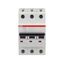S203M-B50 Miniature Circuit Breaker - 3P - B - 50 A thumbnail 4