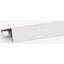 19" cover/holder for LED lighting unit DV900337, 1U, RAL7035 thumbnail 2