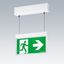 VOYAGER STYLE 115 P MS-WF15 E3D SM-S WH - Escape sign luminaire thumbnail 2