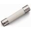 Miniature metric fuse without indicator ¼" x 1" thumbnail 1