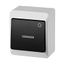 GALATEA Illuminated button symbol light No. 1/0So 10A 230V on plaster IP44 white/black thumbnail 1