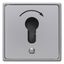 Push button for key cylinder, flush-mounted, cast IP44 thumbnail 1