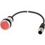 C22-D-R-K01-P3 Pushbutton, Flat, momentary, 1 NC, Cable (black) with M12A plug, 4 pole, 0.5 m, red, Blank, Bezel: titanium thumbnail 5