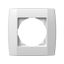 COVER PLATE BOLD 1 PW 4326555 thumbnail 1