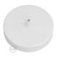 Cylindrical metal ceiling rose kit thumbnail 2