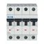 Miniature circuit breaker (MCB), 1 A, 4p, characteristic: D thumbnail 17