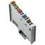 2 pulse width outputs 24 VDC 0.1 A light gray thumbnail 2