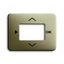 6435-260 CoverPlates (partly incl. Insert) carat® Palladium thumbnail 1