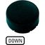 M22-XDH-S-GB4 Button plate, raised black, DOWN thumbnail 4