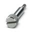 HC-LSM-M4 - Screw thumbnail 4