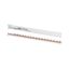 Z-SV-10/1P+N-F/18 Horizontal busbar, 10mm², 1P+N thumbnail 3