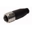 Field-Wireable Connector 7/8″ Female, Straight   BKV4140-0/16 thumbnail 1