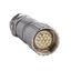 Cable Jumper straight M12 8-pin Male, straight M12 8-pin Female, PUR c thumbnail 8