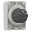 M30C-FW3 Changeover switch, RMQ-Titan, With rotary head, momentary, 3 positions, inscribed, Metal bezel thumbnail 8