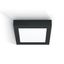 BLACK PLAFO 22W WW IP40 230V thumbnail 1