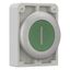 M30C-FDR-G-X1 Pushbutton, RMQ-Titan, Flat, maintained, green, inscribed, Metal bezel thumbnail 7