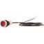 C22-DRL-R-K01-24-P65 Illuminated pushbutton actuator, classic, flat, maintained, 1 N/C, red, 24 V AC/DC, cable (black) with non-terminated end, 4 pole, 3.5 m thumbnail 3