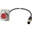 Pushbutton, Flat, momentary, 1 NC, Cable (black) with M12A plug, 4 pole, 1 m, red, Blank, Metal bezel thumbnail 4