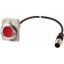 Pushbutton, Flat, momentary, 1 NC, Cable (black) with M12A plug, 4 pole, 1 m, red, Blank, Metal bezel thumbnail 1