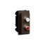 L.NOW - DUAL RCA MODULE BRONZE thumbnail 1