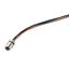 Built-in plugs, M5, Female socket, straight, Mounting thread: , Number of poles: 3, Strand / cable length: 0.2 m thumbnail 2