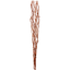Decorative Twig Willow thumbnail 2