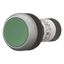 Pushbutton, flat, momentary, 1 N/O, green, Screw connection, Bezel: ti thumbnail 7