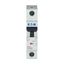 Miniature circuit breaker (MCB), 32 A, 1p, characteristic: Z thumbnail 11