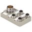 with M23 outlet, 12-pole, M12, 30 V, A-coded, LED: Yes, LED initiator: Yes, Wiring type: PNP thumbnail 1