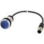 C22-DL-B-K10-24-P5 Illuminated pushbutton actuator, Flat, momentary, 1 N/O, Cable (black) with M12A plug, 4 pole, 1 m, LED Blue, Blue, Blank, 24 V AC/DC, Bezel: titanium thumbnail 5