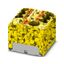 PTFIX 10/6X4-FE - Distribution block thumbnail 1