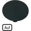 M22-XDP-S-D3 Button plate, mushroom black, UP thumbnail 2