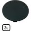 M22-XDP-S-D2 Button plate, mushroom black, TO thumbnail 4