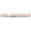 EVGK busbar fork, 3-phase, L1 - L2 - L3 - X + L1 - L2 - L3, shortenable version with end caps included, 4+8 module units, 10 mm² thumbnail 1