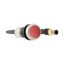 C22-DRL-R-K01-24-P3 Illuminated pushbutton actuators, maintained, red, 24v, 1 N/C, with cable 0.5m and M12A plug thumbnail 11