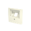 Central plate Basic 55 1×RJ cream 1803-92-507 thumbnail 2