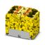 PTFIX 6X4-FE-G - Distribution block thumbnail 1