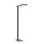WORKLIGHT PRO, free-standing lamp, 100W, 4000K, Touch, black thumbnail 4