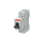 MD99 thumbnail 4