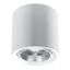 CERAMIC SPOT KALU GU10/ES111 1X40W IP20 thumbnail 1